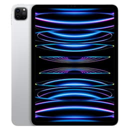 iPad Pro 11" (2022) 4th gen 2000 GB - Wi-Fi - Silver