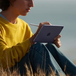 iPad mini (2021) 6th gen 256 GB - Wi-Fi - Pink
