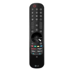 Lg MR21GA TV accessories