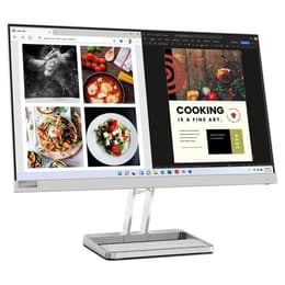 24-inch Lenovo L24I-4A 1920 x 1080 LED Monitor Grey