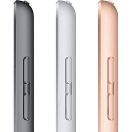 iPad 10.2 (2020) 8th gen 32 GB - Wi-Fi + 4G - Space Gray
