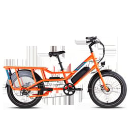 Rad Power Bikes radwagon 4 Electric bike