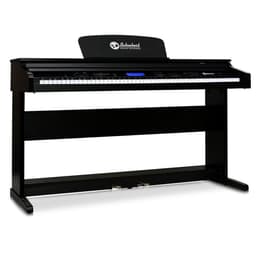 Schubert PN2-Subi88P2-S Musical instrument