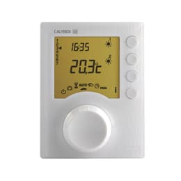 Delta Dore Calybox 230 Thermostat
