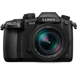 Lumix DC-GH5 - Black + Panasonic Leica DC Vario-Elmar 12-60mm f/2.8-4.0 ASPH f/2.8-4.0
