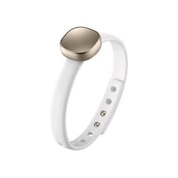 Charm Life Style Band Connected devices