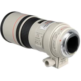 Camera Lense Canon EF 300mm f/4 300mm f/4