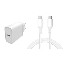 Cable and Wallplug (USB-C + USB-C) 20W - WTK