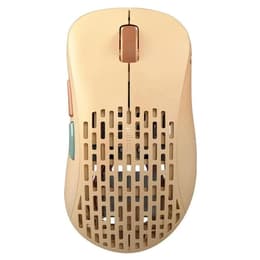 Pulsar Xlite V2 Wireless (Size 2) Medium Mouse Wireless