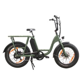 Rad Power Bikes RadRunner Electric bike