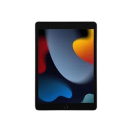 iPad 10.2" (2021) 9th gen 256 GB - Wi-Fi + 4G - Space Gray