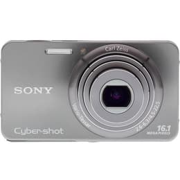 Compact CyberShot DSC-W570 - Silver + Sony Carl Zeiss Vario-Tessar 25–125 mm f/2.6–6.3 f/2.6–6.3