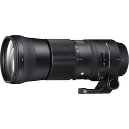 Sigma Camera Lense 150-600 mm F5-6.3 DG OS HSM DG 150-600mm F/5-6.3