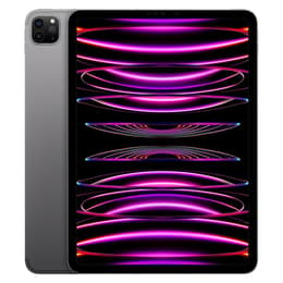 iPad Pro 11 (2022) 4th gen 512 Go - WiFi + 5G - Space Gray