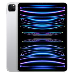 iPad Pro 11 (2022) 4th gen 2000 GB - Wi-Fi + 5G - Silver