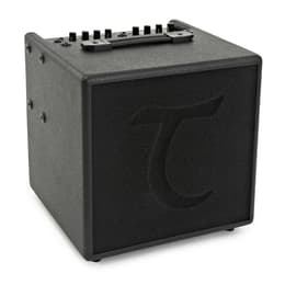 Tanglewood T6 Sound Amplifiers