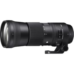 Sigma Camera Lense 150-600 mm F5-6.3 DG OS HSM 150-600mm F/5-6.3