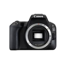Reflex EOS 2000D - Black + Canon Canon Zoom Lens EF-S 18-55mm f/3.5-5.6 IS II + Canon EF-S 55-250mm f/4.0-5.6 IS f/3.5-5.6 + f/4.0-5.6
