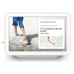 Google Nest Hub Galet Connected devices