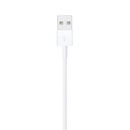 Apple USB + Lightning 1m Cable