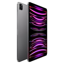 iPad Pro 11 (2022) 4th gen 256 GB - Wi-Fi + 5G - Space Gray