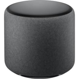 Amazon Echo Sub Speakers - Grey