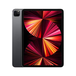 iPad Pro 11 (2021) 3rd gen 256 Go - WiFi + 5G - Space Gray
