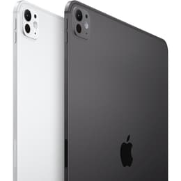 iPad Pro 11 M4 (2024) 5th gen 512 GB - Wi-Fi + 5G - Silver