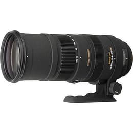 Sigma Camera Lense 150-500mm f/5-6.3 DG OS HSM 150-500mm f/5-6.3