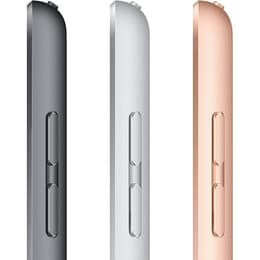 iPad 10.2 (2020) - WiFi + 4G