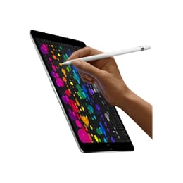 iPad Pro 10.5 (2017) 1st gen 256 GB - Wi-Fi - Space Gray