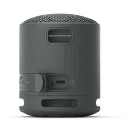 Sony SRS-XB100 Bluetooth Speakers - Black