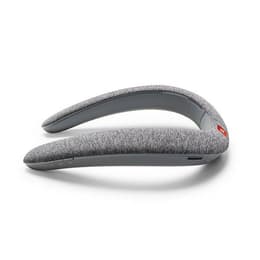 Jbl Soundgear BTA Bluetooth Speakers - Grey