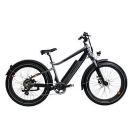 Rad Power Bikes RadRhino 6 Plus Electric bike