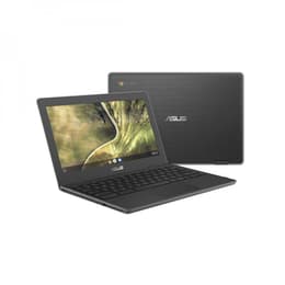 Asus Chromebook C204MA-GJ0203 Celeron 1.1 GHz 32GB eMMC - 4GB AZERTY - French
