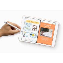iPad 10.2 (2019) 7th gen 128 GB - Wi-Fi - Space Gray