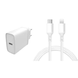 Cable and Wallplug (USB-C + Lightning) 20W - WTK