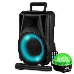 Festisound Karaoké avec USB SD Bluetooth TWS - Micro sans fil PA speakers