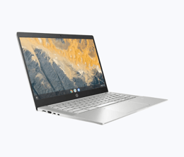 HP chromebook pro image