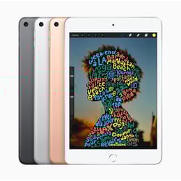 iPad mini 7.9