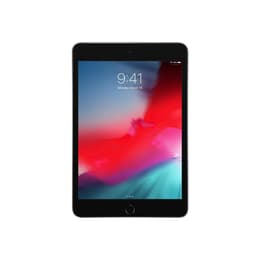 iPad mini 7.9