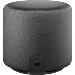 Amazon Echo Sub Speakers - Grey | Back Market