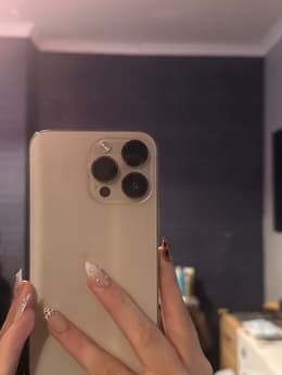 iPhone 14 Pro Max 256GB - Silver - Unlocked | Back Market