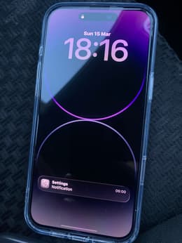 iPhone 14 Pro Max 256GB - Silver - Unlocked | Back Market