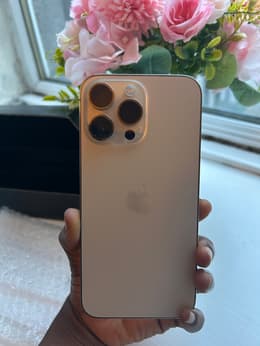 iPhone 14 Pro Max 512GB - Gold - Unlocked | Back Market