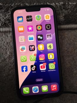 iPhone 13 Pro Max 256GB - Alpine Green - Unlocked | Back Market