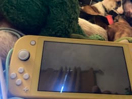 Switch Lite 32GB - Pink | Back Market
