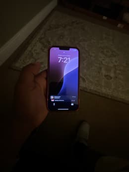 iPhone 13 Pro Max 256GB - Alpine Green - Unlocked | Back Market