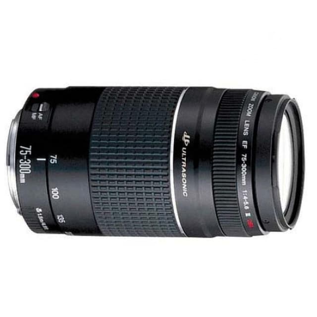 Canon Camera Lense EF 75-300mm f/4.0-5.6